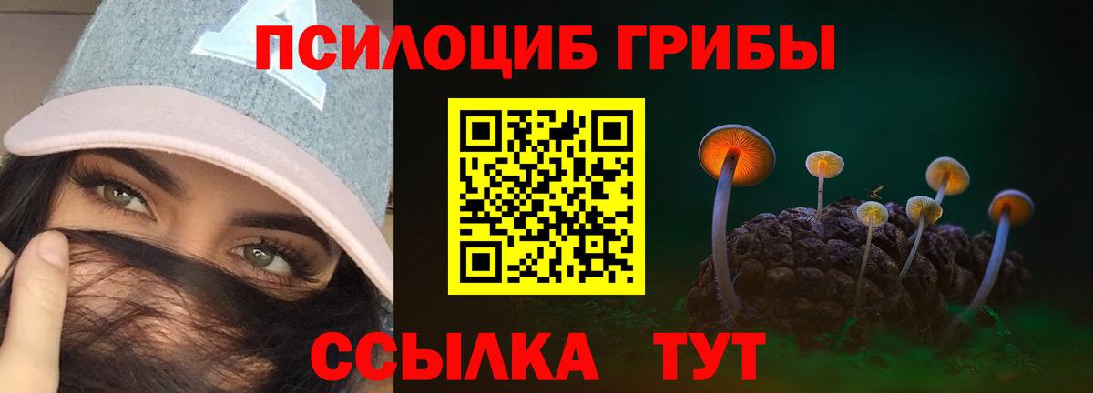 Туапсе  Галлюциногенные грибы Psilocybine cubensis  Вход с VPN 